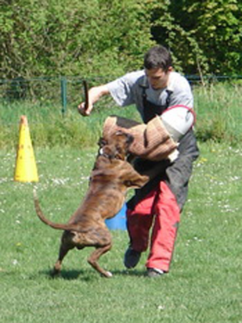 APE SEL Champagne Ardennes